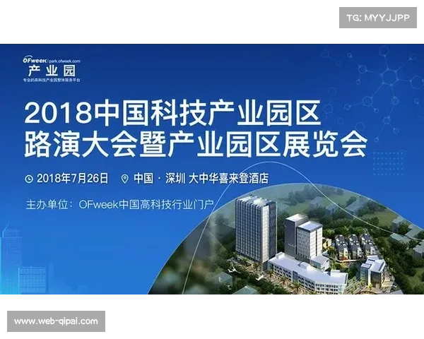 足球产业生态日趋完善产业链条更加完整推动行业可持续发展