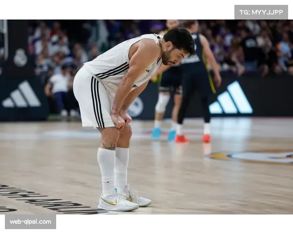 欧洲篮球联赛总决赛对阵出炉：皇家马德里对阵费内巴切